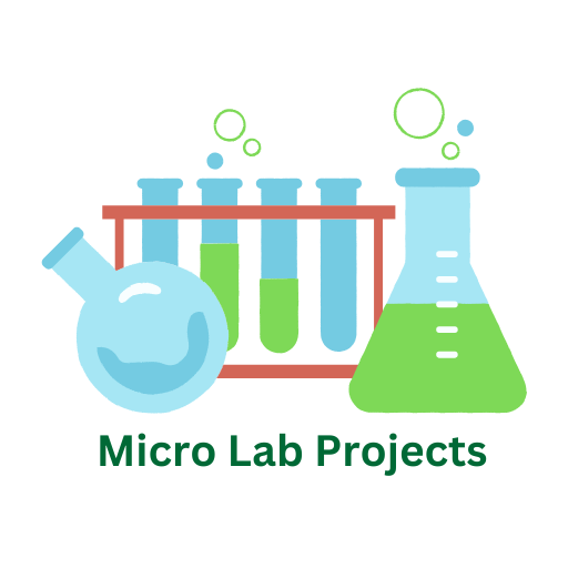 Micro Lab Projects